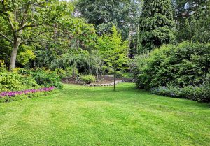 Optimiser l'expérience du jardin à Magnac-Lavalette-Villars
